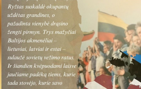 svetainė.jpg