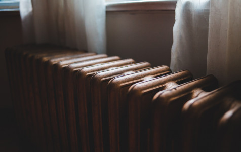 pexels-erik-mclean-4819052.jpg