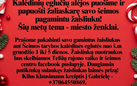 Šeimos tarybos geras.jpg