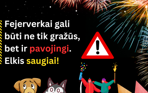 Fejerverkai gali būti ne tik gražūs, bet ir pavojingi.  Elkis saugiai!-2.png