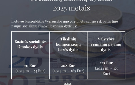 Nauji išmokų dydžiai.jpg