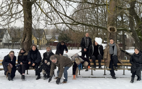 mmj4.jpeg