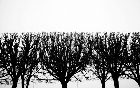 pexels-charldurand-6506868.jpg