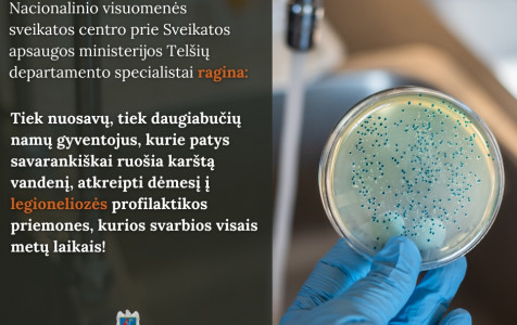 PROFILKATIKA.jpg