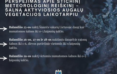 šalčiai.jpg