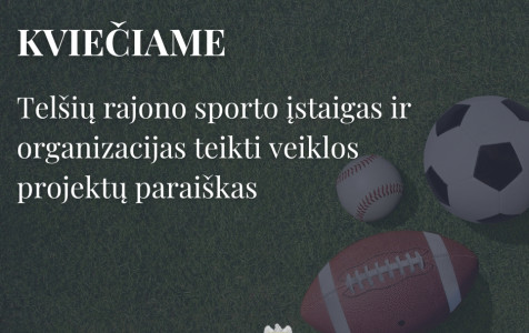 sporto įstaigas.jpg