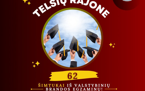 VizualasŠimtukai.jpg