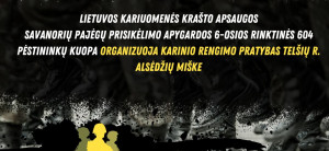 INFORMACIJA APIE KARINES PRATYBAS