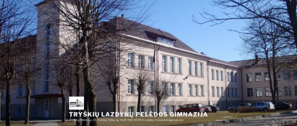Telšių rajono savivaldybė skelbia konkursą Telšių r. Tryškių Lazdynų Pelėdos gimnazijos direktoriaus pareigoms eiti